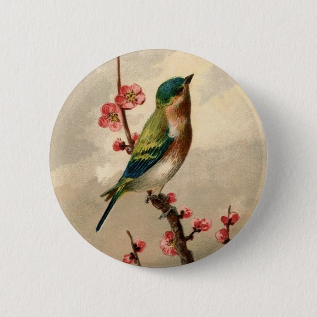 Pretty Vintage bird Pinback Button (Front)