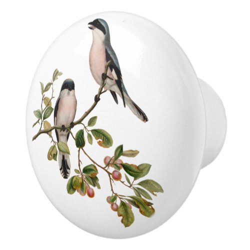 Pretty Vintage Birds In Berry Tree Ceramic Knob