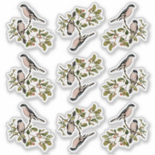 Pretty Vintage Birds In Red Berry Tree Sticker