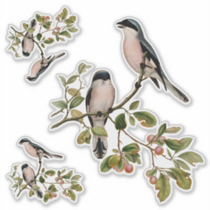 Pretty Vintage Birds In Red Berry Tree Sticker