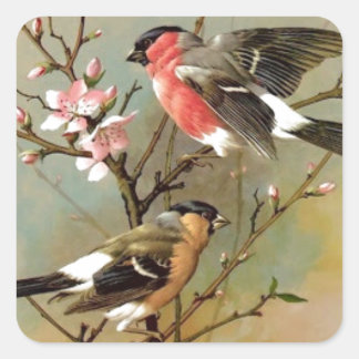 Pretty Vintage Birds Square Sticker