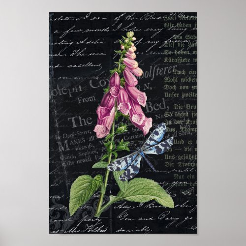 Pretty Vintage Flower  Butterfly Botanical  Poster