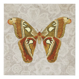 Pretty Vintage Moth Botanical Faux Canvas Print