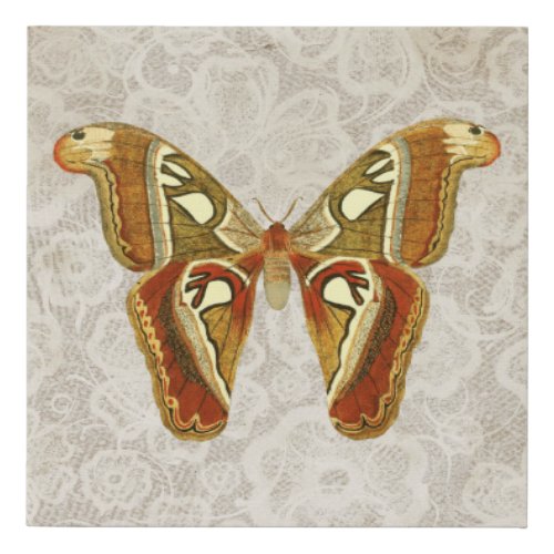 Pretty Vintage Moth Botanical   Faux Canvas Print