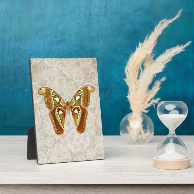 Pretty Vintage Moth Botanical Tabletop  Plaque (Side)