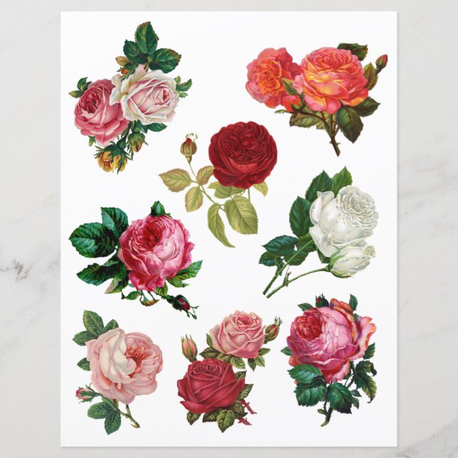 Pretty Vintage Roses Fussy Cut Scrapbook Paper (Front)