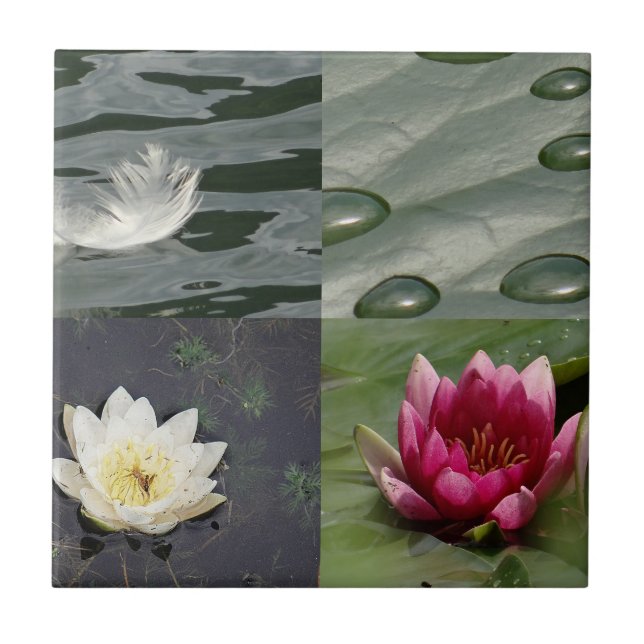 Pretty Water Lilies Ceramic Tile (Front)