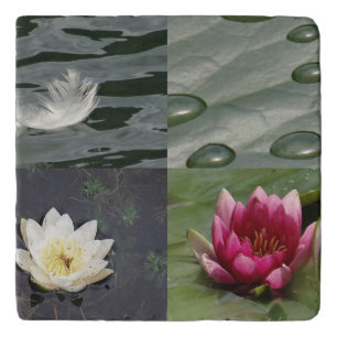 Pretty Water Lilies Trivet