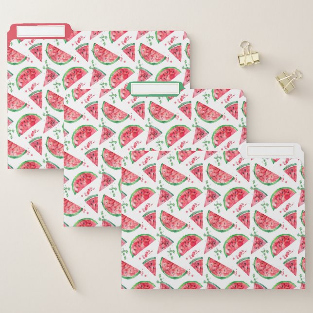 Pretty Watercolor Watermelon File Folder (Set)