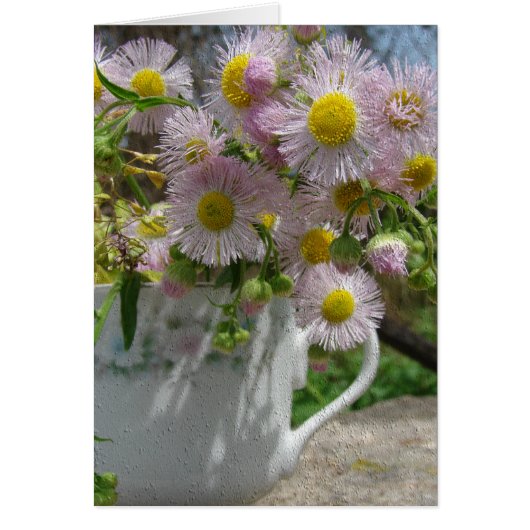 Pretty Weeds Cards (Front)