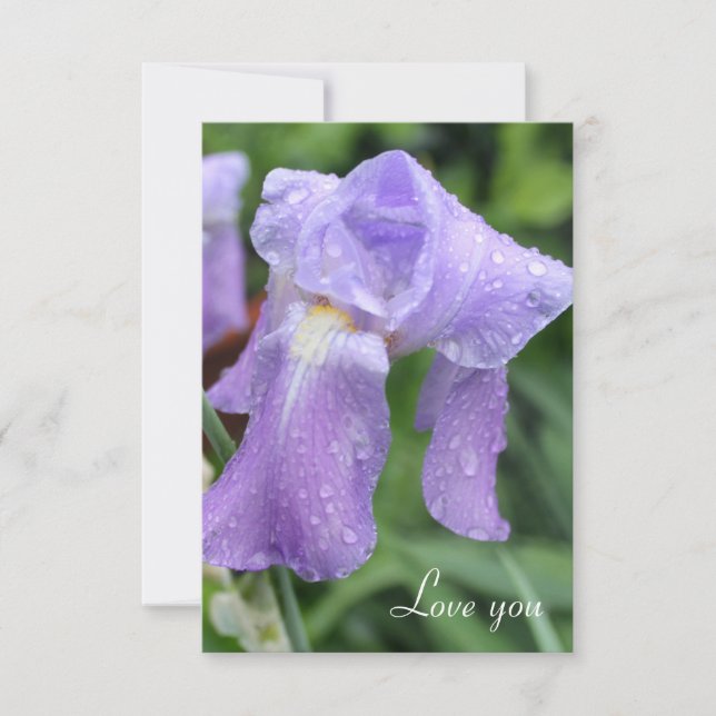 Pretty Wet Iris. Note Card (Front)