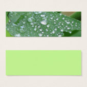 Pretty Wet Leaf Bookmark (Front & Back)