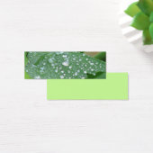 Pretty Wet Leaf Bookmark (Desk)