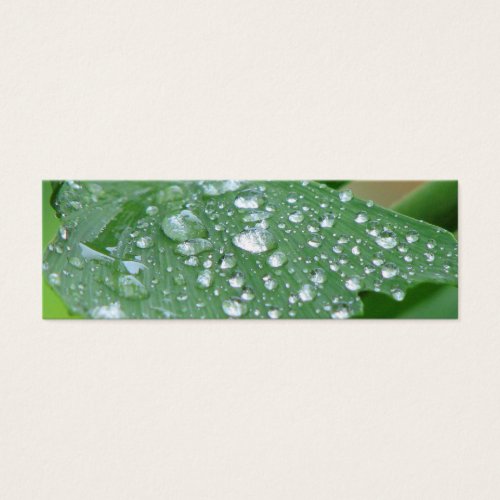 Pretty Wet Leaf Bookmark Business Cards