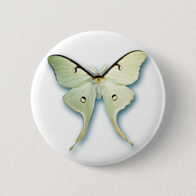 Pretty White Butterfly Design Pinback Button (Front)