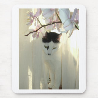Pretty White Cat Mouse Pad