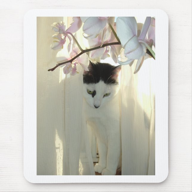 Pretty White Cat Mouse Pad (Front)