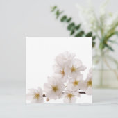 Pretty White Cherry Blossoms (Standing Front)