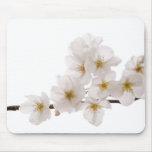 Pretty White Cherry Blossoms Mouse Pad