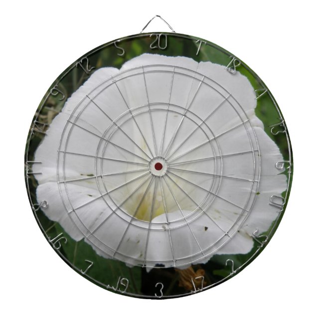 Pretty White Convolvulus Flower Dart Board (Front)