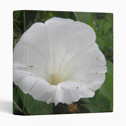 Pretty White Convolvulus Flower Photograph Album Binder