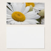 Pretty White Daisies (Front & Back)