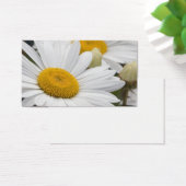 Pretty White Daisies (Desk)