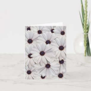 Pretty White Daisies Blank Note Card