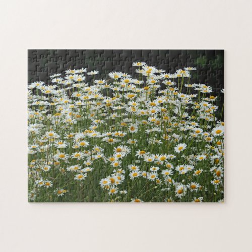 Pretty White Daisies Floral Photo Jigsaw Puzzle