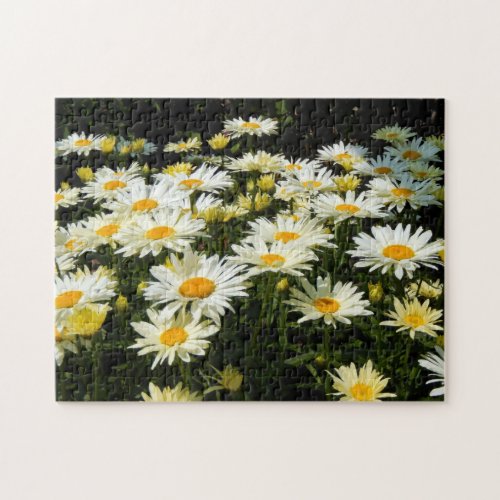 Pretty White Daisies Garden Floral Photo Jigsaw Puzzle