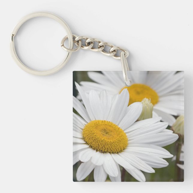Pretty White Daisies Keychain (Front)
