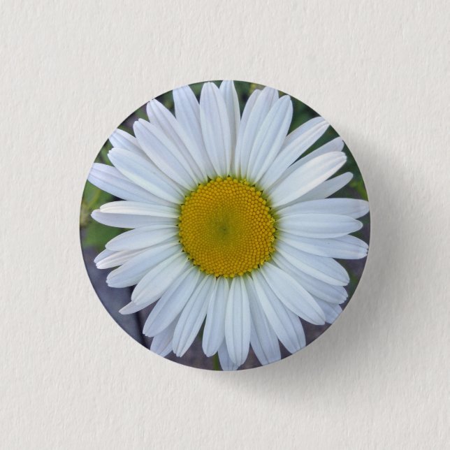 Pretty White Daisy Photo Button (Front)