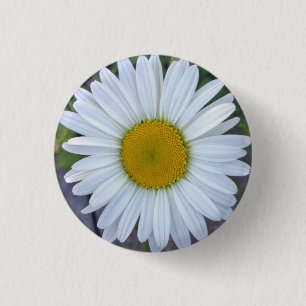 Pretty White Daisy Photo Button
