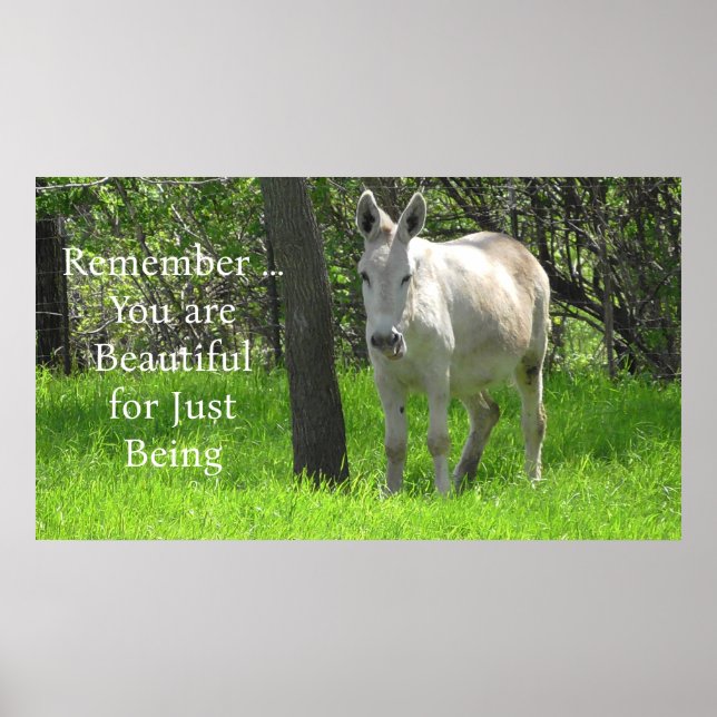 Pretty White Donkey in Green Field of Grass Poster (Front)