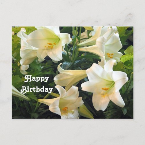 Pretty White Easter Lilies Floral Photo Birthday Postcard