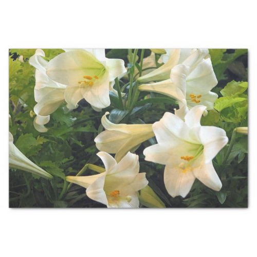 Pretty White Easter Lilies Floral Photo Tissue Paper