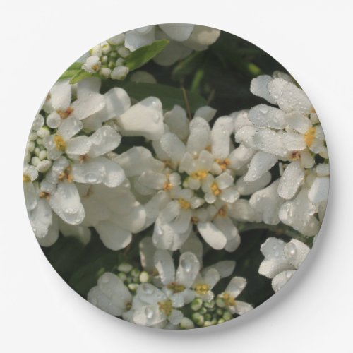 Pretty White Flowers Photo Wedding Paper Plates