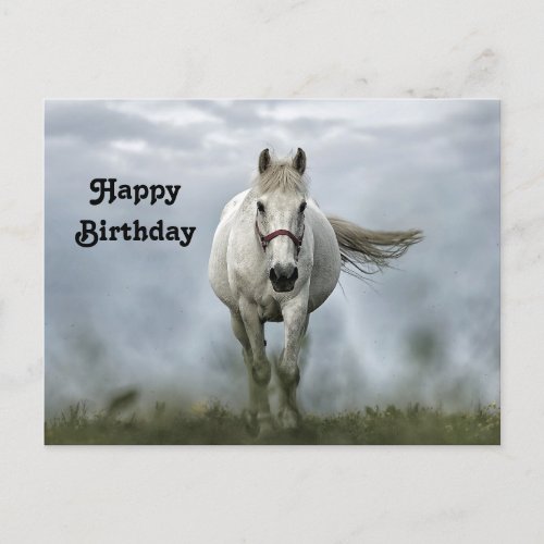 Pretty White Horse Cloud Photo Birthday Postcard