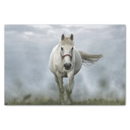 Pretty White Horse Cloud Photo Tissue Paper