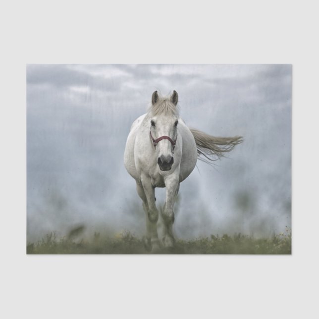 Pretty White Horse Cloud Photo Tissue Paper (Front)