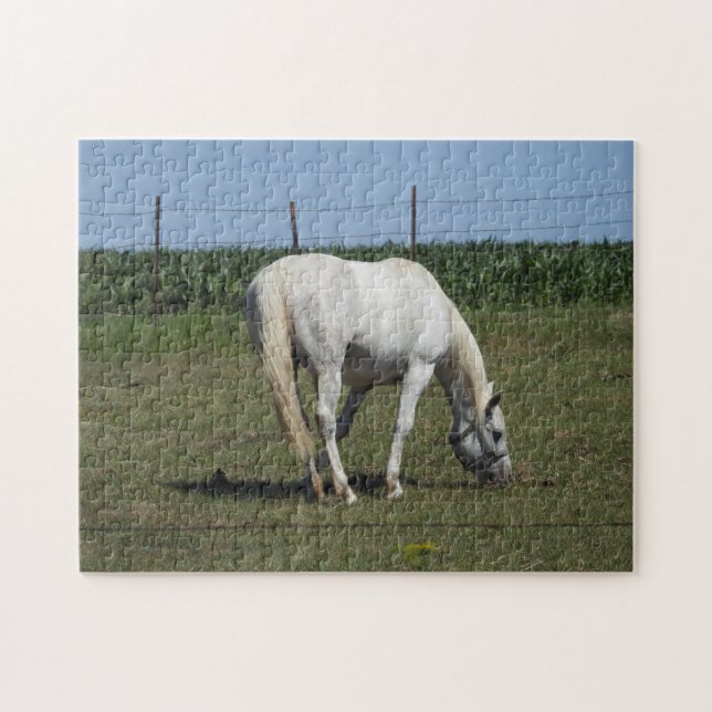 Pretty White Horse Jigsaw Puzzle (Horizontal)
