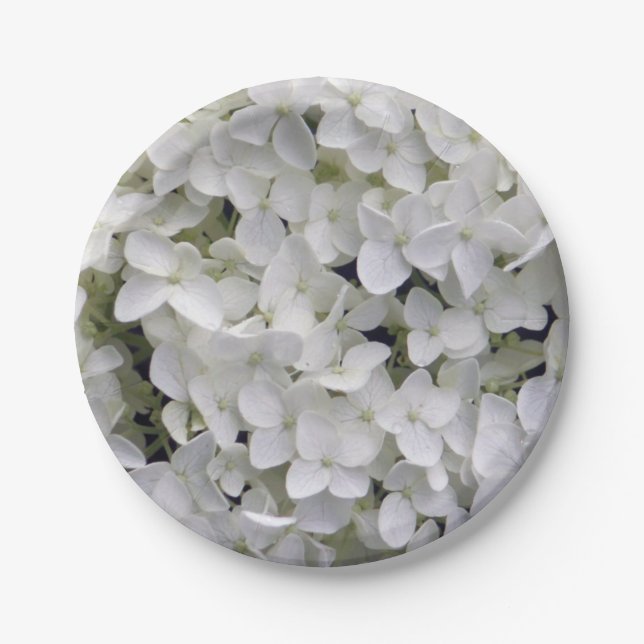 Pretty White Hydrangea Closeup Photo Paper Plates (Front)