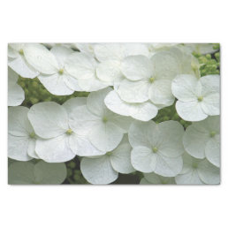 Pretty White Hydrangea Floral Photo Tissue Paper