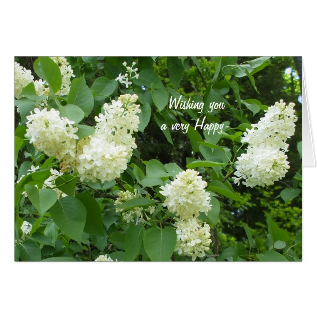 Pretty  White Lilac Bush Cards (Front Horizontal)