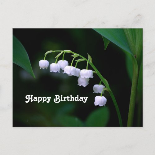 Pretty White Lily of the Valley Floral Birthday Postcard
