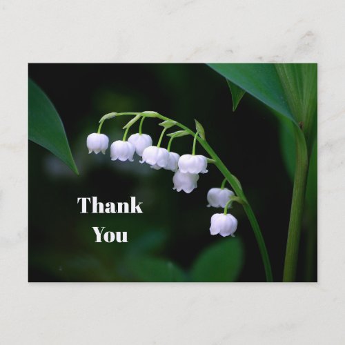 Pretty White Lily of the Valley Floral Thank You Postcard