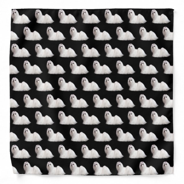 Pretty White Maltese Puppy Dog Bandana (Front)