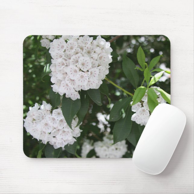 Pretty White Mountain Laurel Star Shaped Flowers Mouse Pad (With Mouse)
