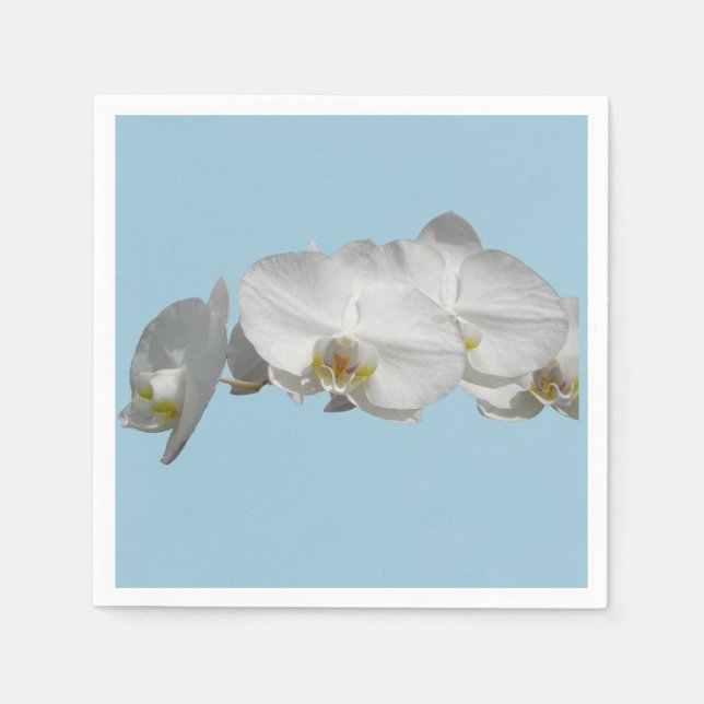 Pretty White Orchid on Light Blue Paper Napkins (Front)