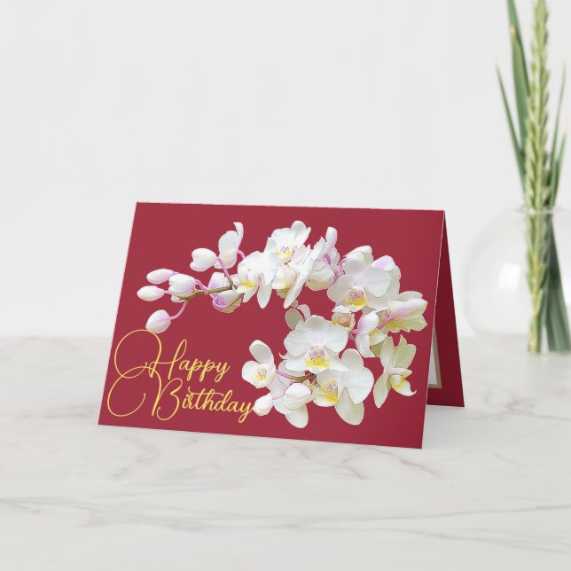 Pretty White Orchid Red Backdrop Happy Birthday Card (Front)